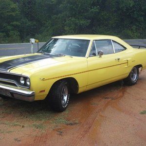 Meet your Posher, Ronnie